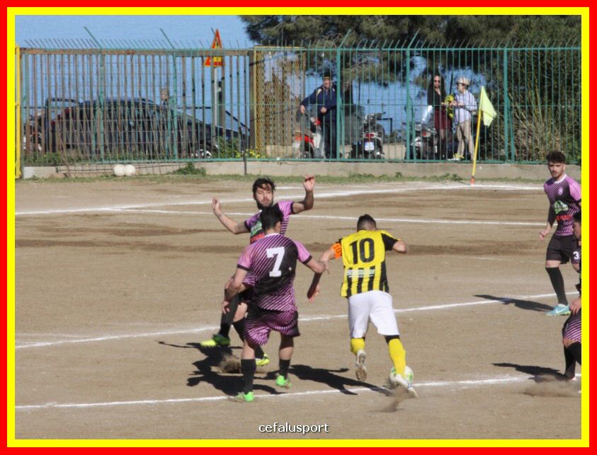 190310 Cephal_Torrenov 098_tn.jpg